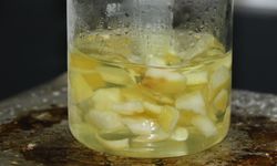 Ağaç kavunu kabuğundan 'süper emici hidrojel' geliştirdiler