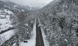 'Ağaç tünel yol'da, kar yağışı sonrası ortaya çıkan manzara görüntülendi