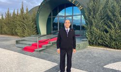 Anadolu parsı, bu kez Şırnak'ta görüntülendi