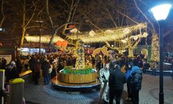 Ankara'da yeni yıl coşkuyla kutlandı (2)