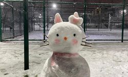 Ankara'nın yüksek kesimlerine kar yağdı