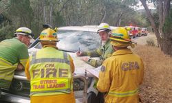 Avustralya'da orman yangınları devam ediyor