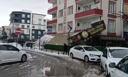 Batman'da 507 yerleşim yerinin yolu kardan kapandı (3)