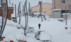 Bingöl'de 219 köy yolu ulaşıma kapandı