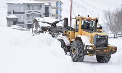 Bitlis'te 139 köy yolu ulaşıma açıldı