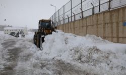 Bitlis'te kapanan 111 köy ve mezra yolundan 89'u açıldı