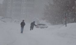 Bitlis'te kar hayatı durma noktasına getirdi (2)