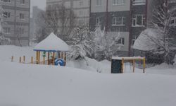 Bitlis'te kar hayatı durma noktasına getirdi