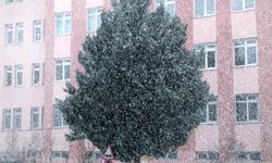 Burdur'da yeni yılın ilk gününde kar yağışı etkili oldu