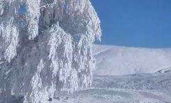 Bursa'da fırtınanın neden olduğu hasar, gündüz görüntülendi