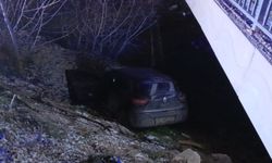 Bursa'da otomobil dereye düştü: 1 yaralı