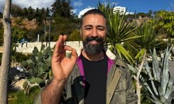 Camgöz köpek balığını dalgıçlar kurtardı