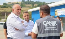 Canik Belediyesi doğal yaşam alanıyla can dostlara kucak açıyor