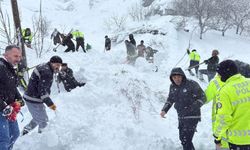 Çatak'ta çığ düşen evdeki kadın yaralı kurtarıldı; 20 ev tahliye edildi / Ek fotoğraflar