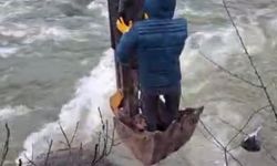 Dere yatağında mahsur kalan yavru köpek kurtarıldı