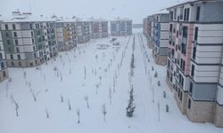 Diyarbakır'da kar esareti