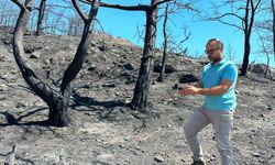 Dr. İlemin: Karakulak türünü Akdeniz ekosistemi için gösterge tür olarak tescilledik