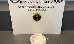 Durdurulan TIR'dan 450 gram metamfetamin ele geçirildi; 1 gözaltı