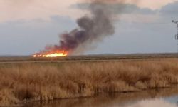 Eber Gölü'ndeki kamış yangınları söndürüldü