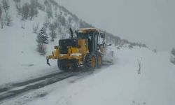 Elazığ'da 536 köy yolu kardan kapandı
