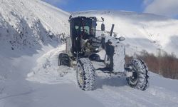 Elazığ'da kardan 323 köy yolu kapandı