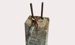 Elektrikli tuzak davasında karar; 'Birçok insanı elektrik çarpar ama ölmezler' dedi, 13 yıl hapis aldı