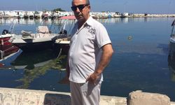 Emekliliği reddedilince kurum avukatını öldürdü/Ek fotoğraflar