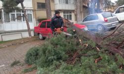 Gediz'de fırtına; ağaçlar devrildi, bina dış cephe kaplamaları söküldü