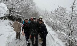 Giresun'da otomobil uçuruma yuvarlandı; 6 yaralı