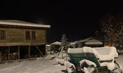 Göl dondu, ördekler yüzemeyince yürümeye başladı