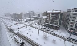 Hakkari'de 160 yerleşim yeri ulaşıma kapandı