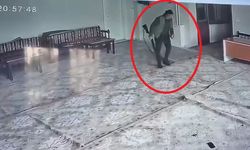 Husumetli olduğu 2 kişi tarafından pompalı tüfekle öldürüldü (2)