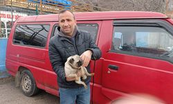 İş yerindeki yangında mahsur kalan yavru köpek kurtarıldı