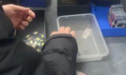 İstanbul - Altın ve kıymetli maden ticaretinde usulsüz işlem yapanlara operasyon: 7 gözaltı / Gözaltı görüntüleri ve ek bilgiyle