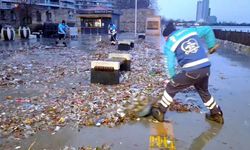 İstanbul - Bakırköy'de lodosla sahile taşınan atıklar temizlendi