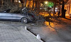 İzmir'de şiddetli rüzgar: Otomobilin üzerine ağaç devrildi
