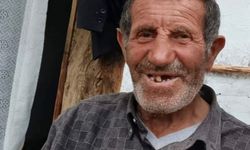 Kar temizlerken ahırın çatısından düşüp öldü