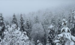 Karabük'ün yüksek kesimlerinde kar yağışı etkili oldu