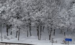 Karla kaplı Bolu Dağı dronla görüntülendi