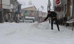 Karlıova'da 25 köy yolu kardan kapandı