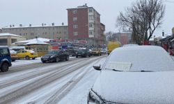 Kars'ta kar nedeniyle 130 köy yolu kapandı