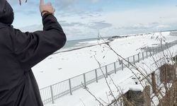 Kastamonu'da kış koşullarında bitkin bulunan ördek, beslenip doğaya salındı