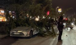 Kayseri'de kuvvetli fırtınada otomobilin üzerine ağaç devrildi