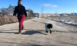 Kliniğine terk edilen köpeği sahiplendi