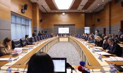 Komisyonda sunum yapan Prof. Dr. Gönültaş: Aileye bağlılık düştükçe çocukların suça karışma düzeyi artıyor