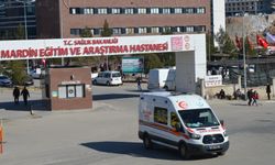 Mardin'de çifte cinayetin firari şüphelisi yakalandı