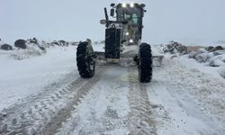 Mardin'de kar, kimine çile, kimine eğlence oldu