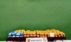 MSB: Van'da 50,9 kilo uyuşturucu ele geçirildi
