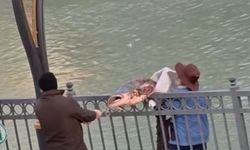 Olta ile nehirden 30 kiloluk balık tuttu