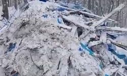 Ordu'da kardan çatısı çöken ağıldaki 7 koyun öldü